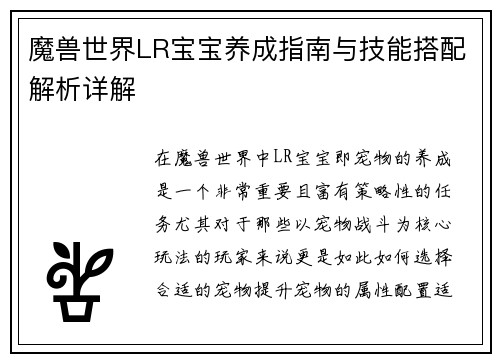 魔兽世界LR宝宝养成指南与技能搭配解析详解